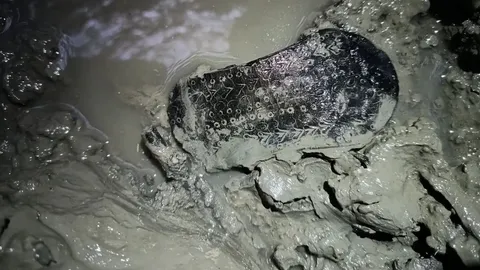 sandália romana descoberta no fundo de um poço cheio de lama na Espanha