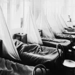Esqueletos da gripe de 1918 dissipam o mito de que adultos jovens e saudáveis ​​eram mais vulnerávei...