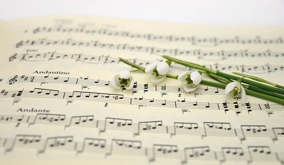 folha de partitura musical com quatro flores brancas e caules verdes em cima.