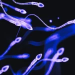 50 anos de dados relacionam inseticidas ao declínio global da contagem de espermatozoides humanos