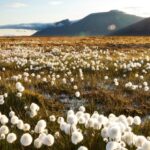 O permafrost ártico esconde a migração do metano que pode aumentar as emissões