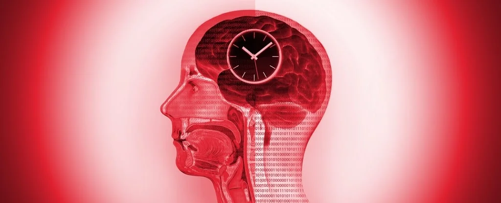 ilustração de uma cabeça com órgãos sendo mostrados e cérebro e um relógio na frente