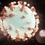 Nova cepa de gripe suína descoberta em um ser humano no Reino Unido pela primeira vez
