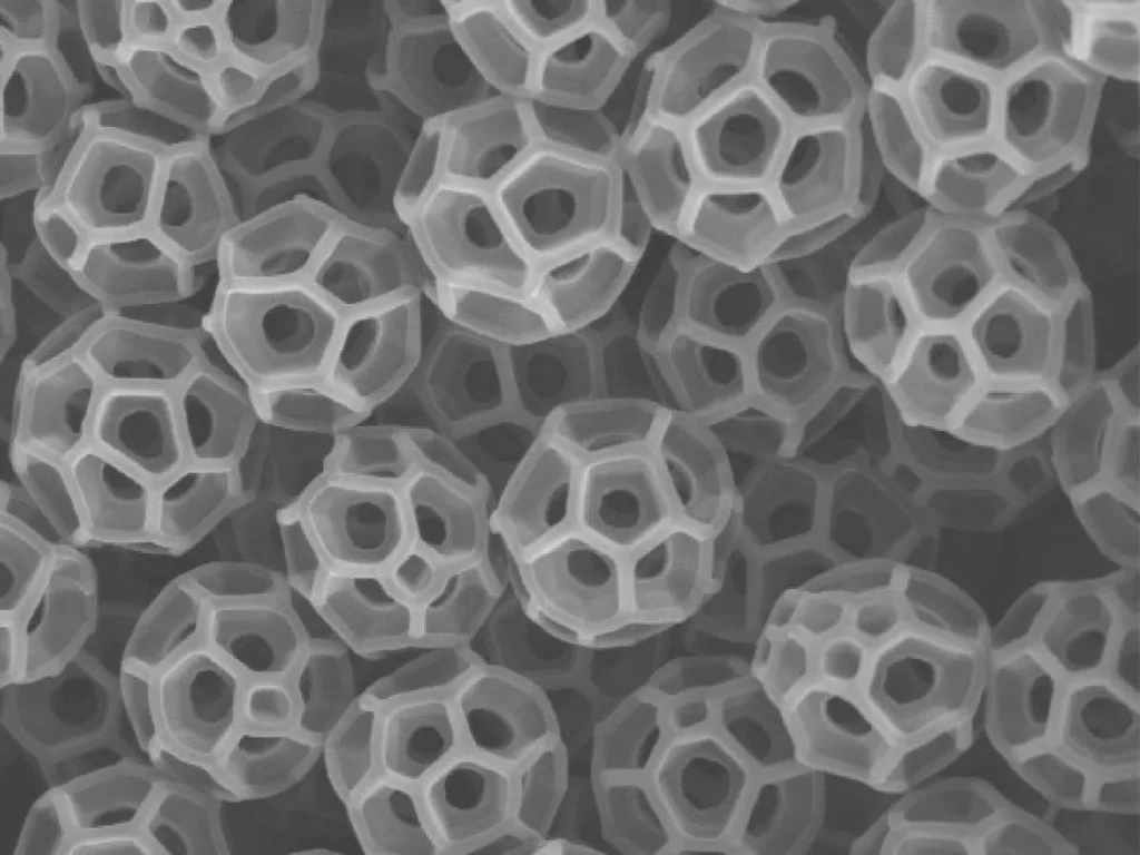 imagem de brocossomos, esferóides ocos, nanoscópicos, em forma de bola de futebol, com orifícios que são produzidos pelo inseto comum de quintal, a cigarrinha