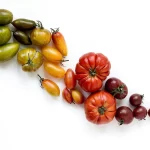 As redes sociais podem ser usadas para aumentar o consumo de frutas e vegetais entre os jovens