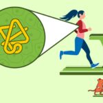 Cientistas avaliam os efeitos do exercício no nível celular