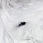 Polínia Maud Riseda: Por quê o buraco de gelo na Antártica do tamanho da Suíça continua se abrindo?