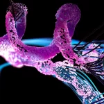 O programa de IA AlphaFold3 da DeepMind pode prever a estrutura de qualquer proteína e mostrar como ...