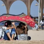 Anéis de árvores revelam que o verão de 2023 foi o mais quente em 2 milênios