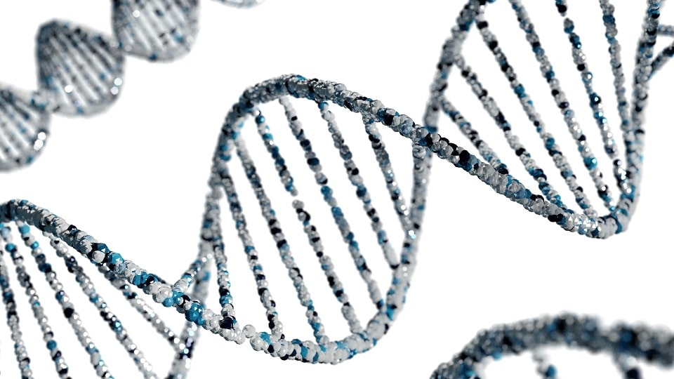 Fitas de DNA, cromossomos, em cores cinza e azulada, com fundo branco