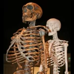 Neandertais e humanos cruzaram há 47 mil anos por quase 7 mil anos, sugere pesquisa
