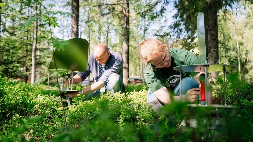 Técnicos de laboratório na Estação de Pesquisa Konnevesi da Universidade de Jyväskylä coletam esporos de fungos do ar com armadilhas metálicas redondas em uma floresta.