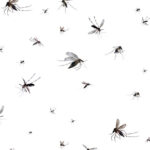 Como a evolução domesticou um vírus mortal e por que ainda devemos nos preocupar