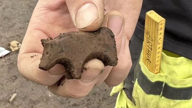 Eescultura de um animal de pedra enigmática em forma de animal descoberta na Islândia.