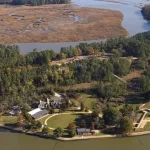 DNA antigo revela linhagens de cães indígenas encontrados em Jamestown, Virgínia