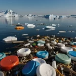 Antártica vulnerável a espécies invasoras que pegam carona em detritos plásticos e orgânicos