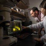 Limpando o cérebro envelhecido: cientistas restauram o sistema de eliminação de lixo do cérebro