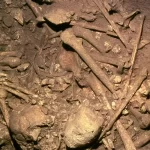 Cemitério da Idade da Pedra na França usado por 800 anos é quase todo masculino — DNA antigo revela ...