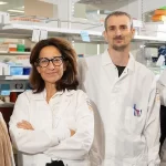 Cientistas criam novo medicamento para combater a malária