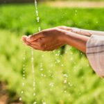 Um dispositivo mais simples e eficiente para coletar água do ar