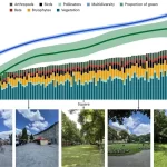 Biodiversidade na cidade: projetando espaços urbanos para humanos e animais