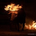 Boas notícias: o cruel festival do “touro de fogo” deste ano na Espanha foi cancelado!