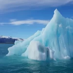 Espécies subgelo correm risco com o aquecimento do Ártico