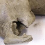 Bebê mamute incrivelmente preservado é encontrado no permafrost da Sibéria