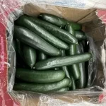 Pepinos são recolhidos em 26 Estados dos EUA e Canadá com suspeita de salmonella