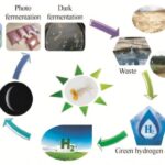 Estudo explora métodos microbianos para produção de hidrogênio a partir de resíduos