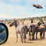 Genes ligados à disseminação de parasitas mortais para além da África identificados