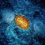 Cientistas alertam para aumento da transmissão de mpox