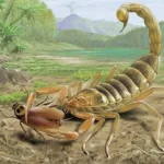 Fóssil de escorpião venenoso de 125 milhões de anos que viveu com dinossauros descoberto na China