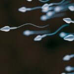 Pílula anticoncepcional masculina sem hormônios entra em ensaios clínicos pela primeira vez