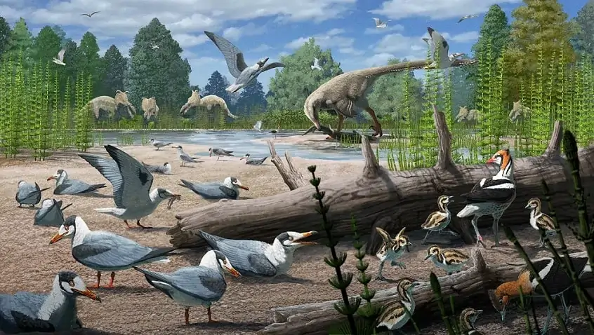 Uma ilustração de aves do Período Cretáceo com outros dinossauros do mesmo período ao fundo.