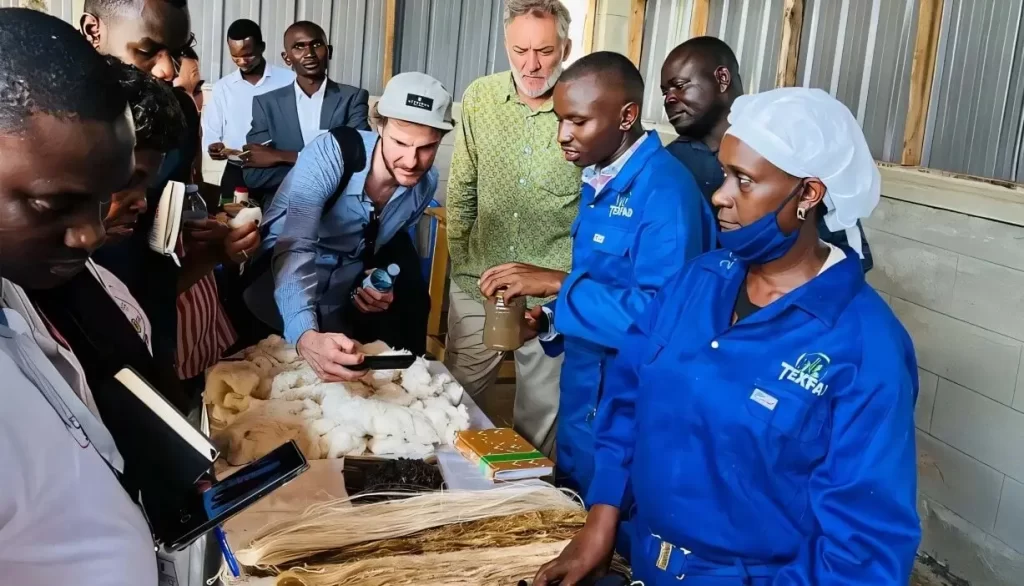 Produtos transformados a partir de talos de banana descartados em tecidos, extensões de cabelo e absorventes higiênicos em Uganda.