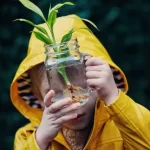 Plantas: Fatos sobre nossas fornecedoras de oxigênio