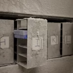 'É nossa obrigação com as gerações futuras': Cientistas querem milhares de amostras de fezes humanas...