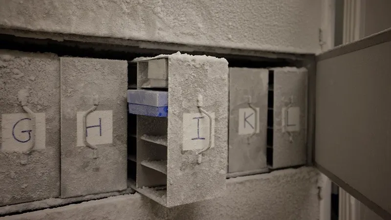 Os micróbios estão armazenados em freezers na Universidade de Zurique, na Suíça. Há planos em andamento para encontrar um local permanente para o Cofre da Microbiota.