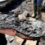 Um soldado romano tinha pés enormes, revela sapato de couro encharcado de 2.000 anos