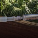 DNA flutuando no ar rastreia vida selvagem, vírus e até mesmo medicamentos