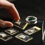 Banquete de 11.000 anos descoberto: Por que os caçadores transportavam javalis pelas montanhas