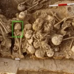 Crânio com 'cabeça de cone' do Irã foi esmagado há 6.200 anos, mas ninguém sabe por quê