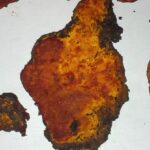 Este fungo raro pode matar células cancerígenas e finalmente descobrimos seu segredo