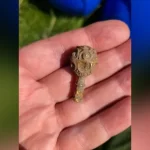 Estudante de arqueologia encontra ouro raro do século IX 'nos primeiros 90 minutos' de sua primeira ...