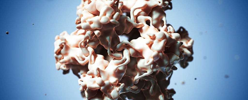 Uma ilustração de um papilomavírus humano. 
