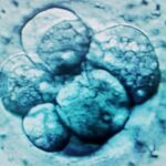 'Bebê mais velho do mundo' nasce de embrião congelado de 30 anos