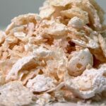 Material feito por bactérias pode substituir petróleo em plástico biodegradável