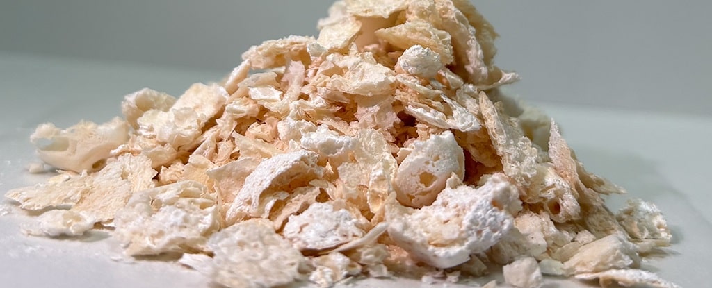 Os pesquisadores produziram a alternativa plástica em quantidades muito maiores do que antes. 