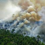 Incêndios recordes na Amazônia liberam mais carbono do que um país inteiro